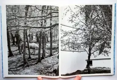 Sample page 8 for book "Casotti, Piergiorgio – Piergiorgio Casotti - Where Does The White Go" Sample page 8 for book "Casotti, Piergiorgio – Piergiorgio Casotti - Where Does The White Go"