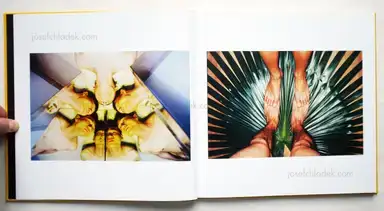 Sample page 22 for book "Hang, Ren – Ren Hang - Republic" Sample page 22 for book "Hang, Ren – Ren Hang - Republic"