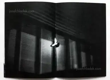 Sample page 5 for book "Reister, Christian – Christian Reister - Driftwood No.4 | Berlin" Sample page 5 for book "Reister, Christian – Christian Reister - Driftwood No.4 | Berlin"