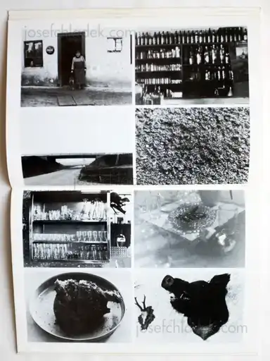 Sample page 3 for book "Cibulka, Heinz – Heinz Cibulka - Stoffwechsel" Sample page 3 for book "Cibulka, Heinz – Heinz Cibulka - Stoffwechsel"