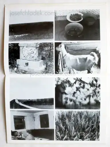 Sample page 2 for book "Cibulka, Heinz – Heinz Cibulka - Stoffwechsel" Sample page 2 for book "Cibulka, Heinz – Heinz Cibulka - Stoffwechsel"