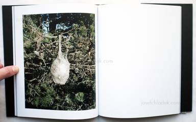 Sample page 7 for book "Sinigaglia, Alberto – Alberto Sinigaglia - Big Sky Hunting" Sample page 7 for book "Sinigaglia, Alberto – Alberto Sinigaglia - Big Sky Hunting"