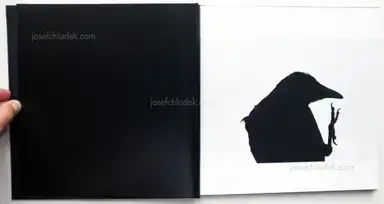 Sample page 21 for book "Fukase, Masahisa – Masahisa Fukase - Ravens (深瀬昌久 鴉) " Sample page 21 for book "Fukase, Masahisa – Masahisa Fukase - Ravens (深瀬昌久 鴉) "