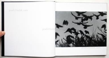 Sample page 2 for book  Masahisa Fukase – Ravens