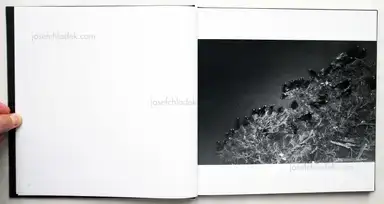 Sample page 19 for book "Fukase, Masahisa – Masahisa Fukase - Ravens (深瀬昌久 鴉) " Sample page 19 for book "Fukase, Masahisa – Masahisa Fukase - Ravens (深瀬昌久 鴉) "