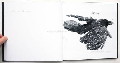 Sample page 8 for book  Masahisa Fukase – Ravens