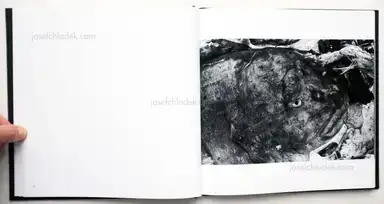 Sample page 13 for book "Fukase, Masahisa – Masahisa Fukase - Ravens (深瀬昌久 鴉) " Sample page 13 for book "Fukase, Masahisa – Masahisa Fukase - Ravens (深瀬昌久 鴉) "