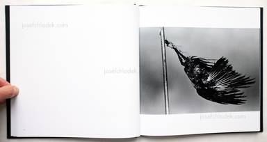 Sample page 10 for book  Masahisa Fukase – Ravens