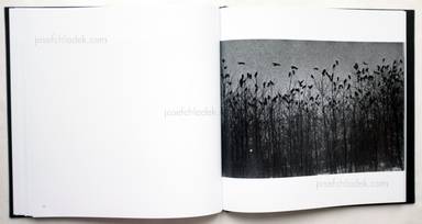 Sample page 17 for book  Masahisa Fukase – Ravens