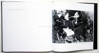 Sample page 21 for book  Masahisa Fukase – Ravens