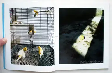 Sample page 14 for book "Pasqui, Iacopo – Iacopo Pasqui - 1999" Sample page 14 for book "Pasqui, Iacopo – Iacopo Pasqui - 1999"