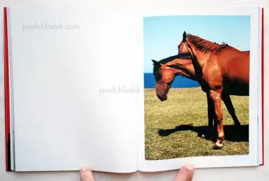 Sample page 8 for book "Moreno, Brenda – Brenda Moreno - B to B" Sample page 8 for book "Moreno, Brenda – Brenda Moreno - B to B"