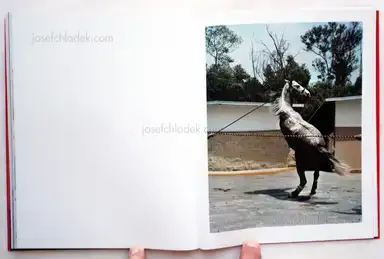 Sample page 4 for book "Moreno, Brenda – Brenda Moreno - B to B" Sample page 4 for book "Moreno, Brenda – Brenda Moreno - B to B"