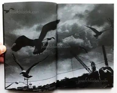 Sample page 16 for book "Nakai, Hiroyasu – Hiroyasu Nakai - Inner-North (中居裕恭)" Sample page 16 for book "Nakai, Hiroyasu – Hiroyasu Nakai - Inner-North (中居裕恭)"