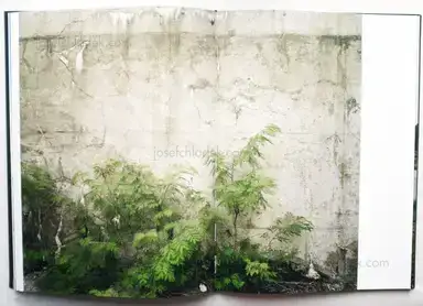 Sample page 20 for book "Markerink, Cary – Cary Markerink - Memory Traces " Sample page 20 for book "Markerink, Cary – Cary Markerink - Memory Traces "