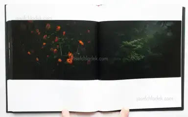 Sample page 4 for book "Ogawa, Yasuhiro – Yasuhiro Ogawa - Cascade" Sample page 4 for book "Ogawa, Yasuhiro – Yasuhiro Ogawa - Cascade"