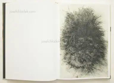 Sample page 12 for book "Lee, Jungjin – Jungjin Lee - Echo" Sample page 12 for book "Lee, Jungjin – Jungjin Lee - Echo"