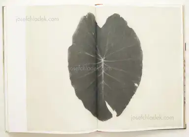 Sample page 4 for book "Lee, Jungjin – Jungjin Lee - Echo" Sample page 4 for book "Lee, Jungjin – Jungjin Lee - Echo"