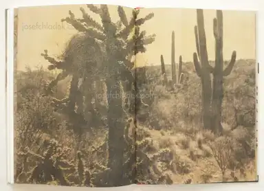 Sample page 2 for book "Lee, Jungjin – Jungjin Lee - Echo" Sample page 2 for book "Lee, Jungjin – Jungjin Lee - Echo"