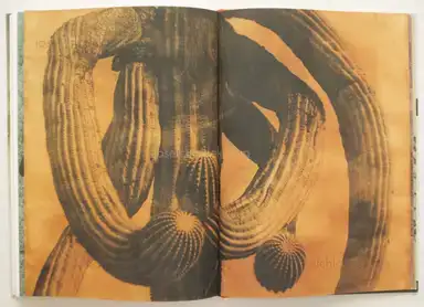 Sample page 1 for book "Lee, Jungjin – Jungjin Lee - Echo" Sample page 1 for book "Lee, Jungjin – Jungjin Lee - Echo"