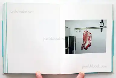 Sample page 6 for book "Sputnik Photos – Sputnik Photos - Fruit Garden" Sample page 6 for book "Sputnik Photos – Sputnik Photos - Fruit Garden"