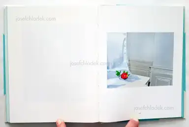 Sample page 2 for book "Sputnik Photos – Sputnik Photos - Fruit Garden" Sample page 2 for book "Sputnik Photos – Sputnik Photos - Fruit Garden"