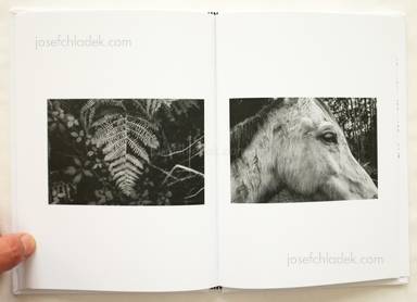 Sample page 4 for book "Valle, Javier Herrero – Javier Herrero Valle - Arco de probabilidad" Sample page 4 for book "Valle, Javier Herrero – Javier Herrero Valle - Arco de probabilidad"