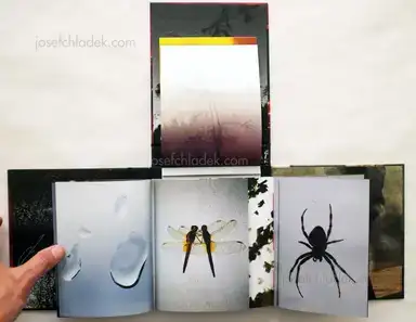 Sample page 8 for book "El-Tantawy, Laura – Laura El-Tantawy - Beyond Here Is Nothing" Sample page 8 for book "El-Tantawy, Laura – Laura El-Tantawy - Beyond Here Is Nothing"