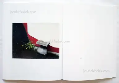 Sample page 1 for book "Polanc, Erwin – Erwin Polanc - 8630 Mariazell" Sample page 1 for book "Polanc, Erwin – Erwin Polanc - 8630 Mariazell"