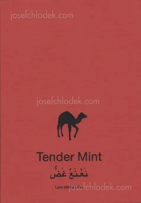 Cover of Lynn Alleva Lilley - Tender Mint