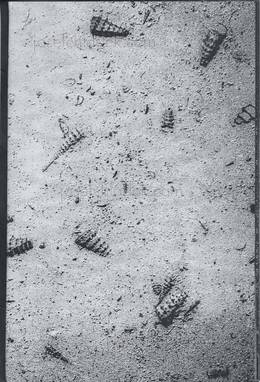  Francois Santerre - Tomorrow Never Knows (Front)