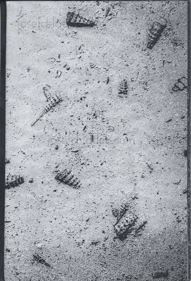 Francois Santerre - Tomorrow Never Knows Francois Santerre - Tomorrow Never Knows