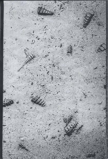 Cover of Francois Santerre - Tomorrow Never Knows