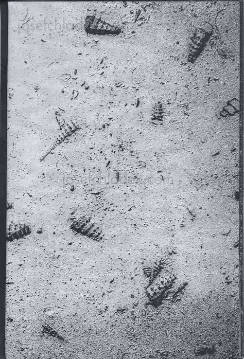 Cover of Francois Santerre - Tomorrow Never Knows