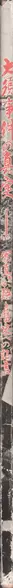 Book spine: The Truth of the Osu Incident: Testimony to the history that photographs recite - 大須事件の真実―写真が語る歴史への証言