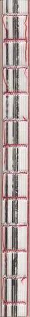 Book spine: Attilio Solzi - Home Video Diary
