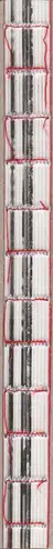 Book spine: Attilio Solzi - Home Video Diary