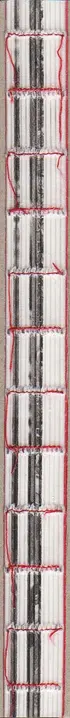 Book spine: Attilio Solzi - Home Video Diary