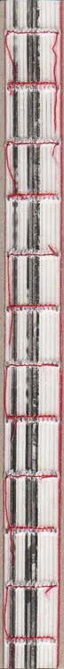 Book spine: Attilio Solzi - Home Video Diary