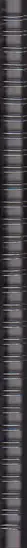 Book spine: Sigrid Ehemann - Bruno Is a Celebrity