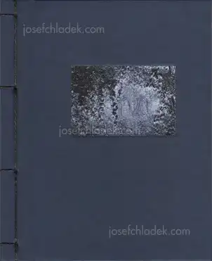 Cover of Helfried Valenta - Light shadow movement