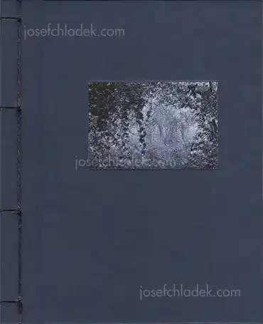 Cover of Helfried Valenta - Light shadow movement