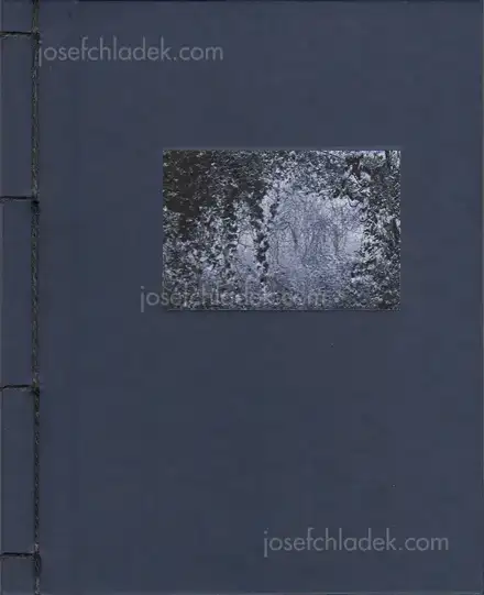 Cover of Helfried Valenta - Light shadow movement