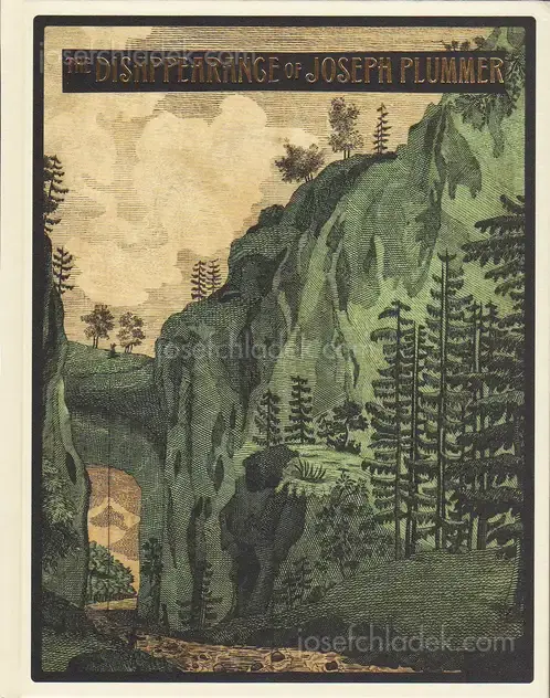 Cover of Amani Willett - The Disappearance of Joseph Plummer