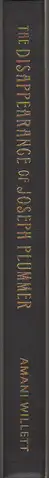 Book spine: Amani Willett - The Disappearance of Joseph Plummer