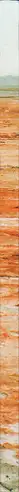 Book spine: Natalia Baluta - Sea I become by degrees