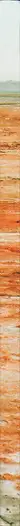 Book spine: Natalia Baluta - Sea I become by degrees