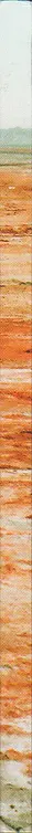 Book spine: Natalia Baluta - Sea I become by degrees