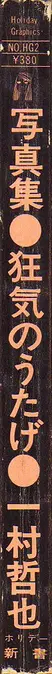 Book spine: Tetsuya Ichimura - Salome - 狂気のうたげ 一村　哲也 