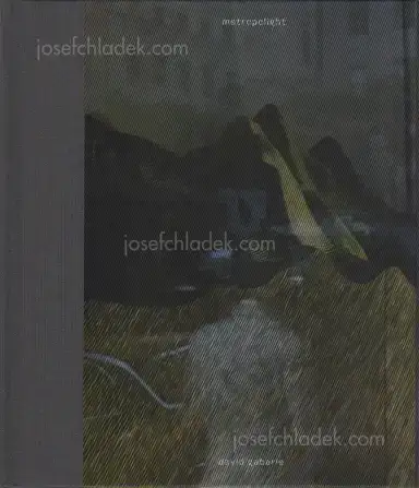 David Gaberle - Metropolight David Gaberle - Metropolight